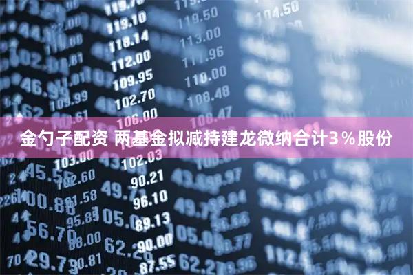 金勺子配资 两基金拟减持建龙微纳合计3％股份